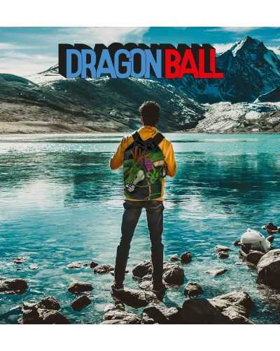 Dragon Ball - Shenron - Seesack